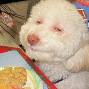 Meet your Posher, Dana